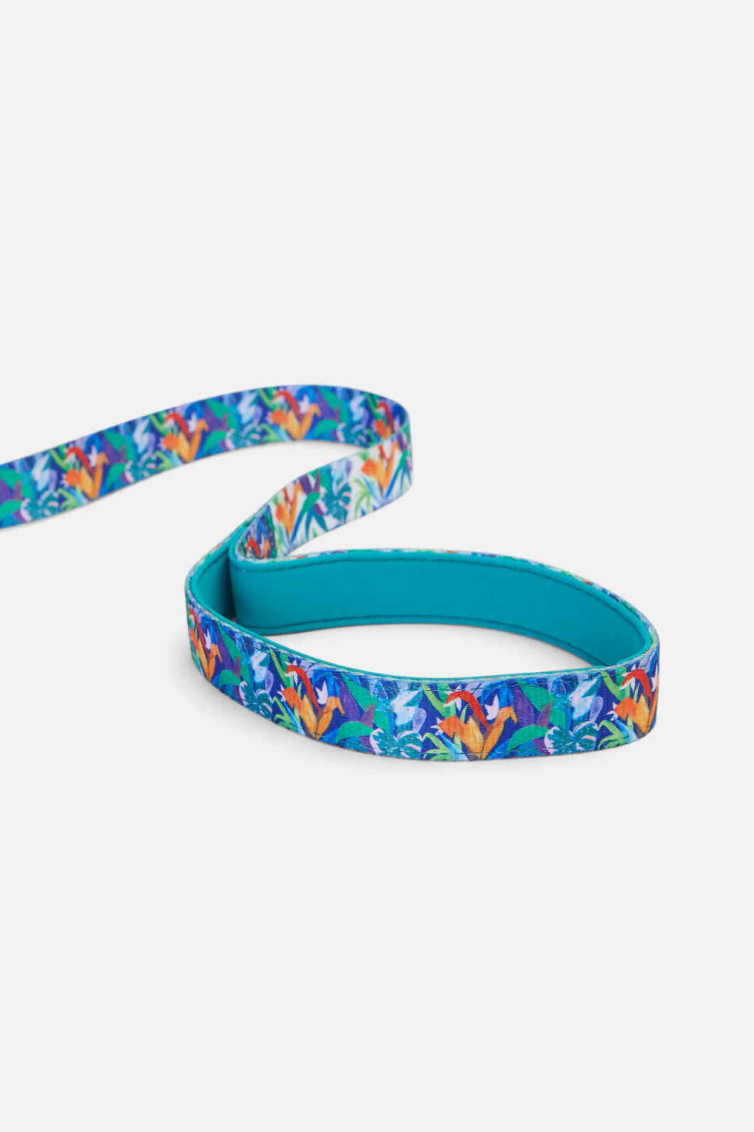 Rain Forrest Lead - Image 3